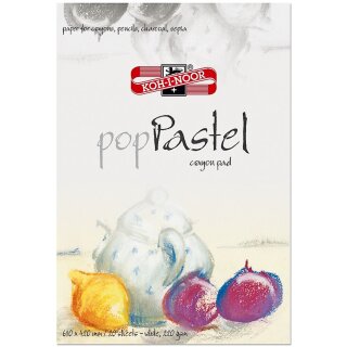 Pastellmalerei A2 Block - 20 Blatt weiß , 220 g/m²
