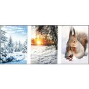 Weihnachten  Glückwunschkarte - Fotokarte " Winter " mit Versandumschlag ,  sortiert
