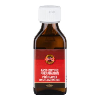 Malmittel schnelltrocknend 100 ml Flasche VE10