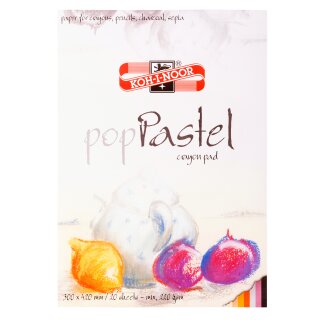 Pastellmalerei A3 Block - 20 Blatt , farbig sortiert...
