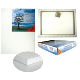 Keilrahmen 2er Pack 20 x 20 280 g/m² VE20
