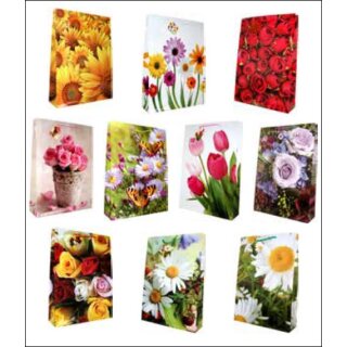 Geschenktüte  Geschenktasche  ca. A 3  /  verschiedene Design , sortiert