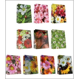 Geschenktüte  Geschenktasche  ca. A 4  /  verschiedene Design , sortiert