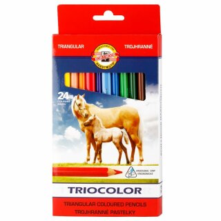 Buntstifte Triocolor  Jumbo Schul- Farbstifte 5,6 mm Mine  24er Pack