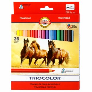 Buntstifte Triocolor  Jumbo Schul- Farbstifte  5,6 mm Mine  36 er Pack