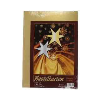 Bastelkarton Karton Gold und Silber 2 x 5 Blatt ca. 35...