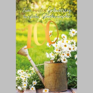 Glückwunschkarten  Geburtstag   Zahl -100   mit Versandumschlag , sortiert 