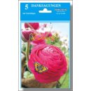 Danksagungen 5er Pack verschiedene Motive VE 20