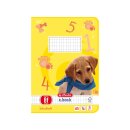 Schulhefte A5 - 16 Blatt Lineatur Nr. 8f / rautiert 5...