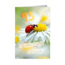 Glückwunschkarten  Geburtstag  " Zahl - 95  " mit Versandumschlag , sortiert
